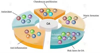 The Impact of Trace Elements on Osteoarthritis